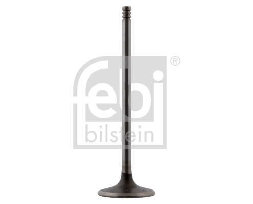 Intake Valve